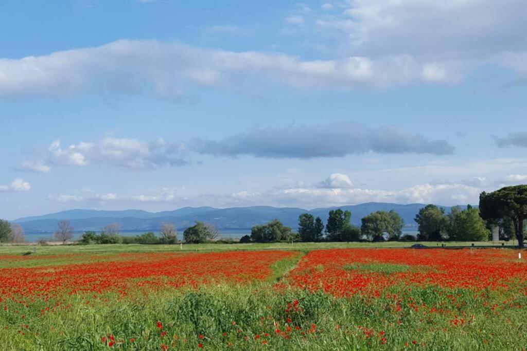 Bellavista La Tua Romantica Vacanza Sul Trasimeno Lägenhet Castiglione del Lago Exteriör bild