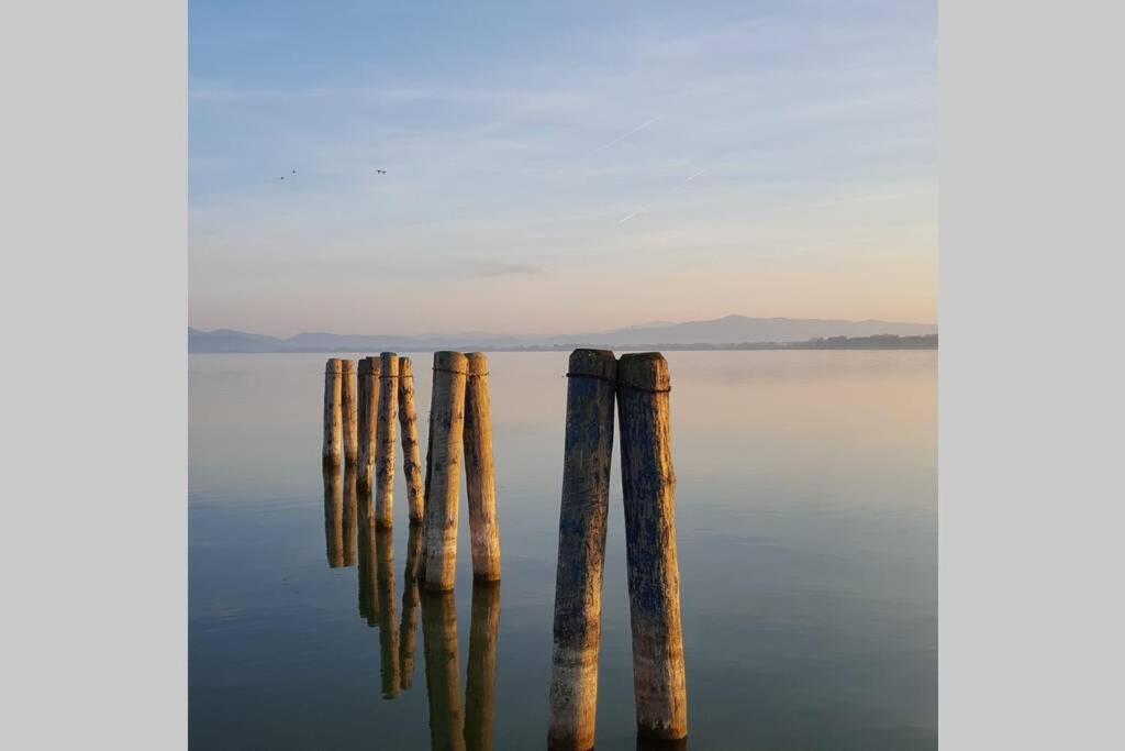 Bellavista La Tua Romantica Vacanza Sul Trasimeno Lägenhet Castiglione del Lago Exteriör bild