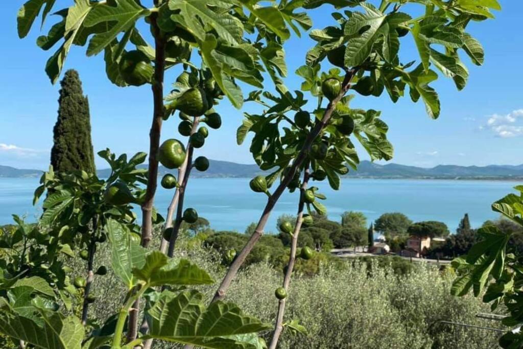 Bellavista La Tua Romantica Vacanza Sul Trasimeno Lägenhet Castiglione del Lago Exteriör bild