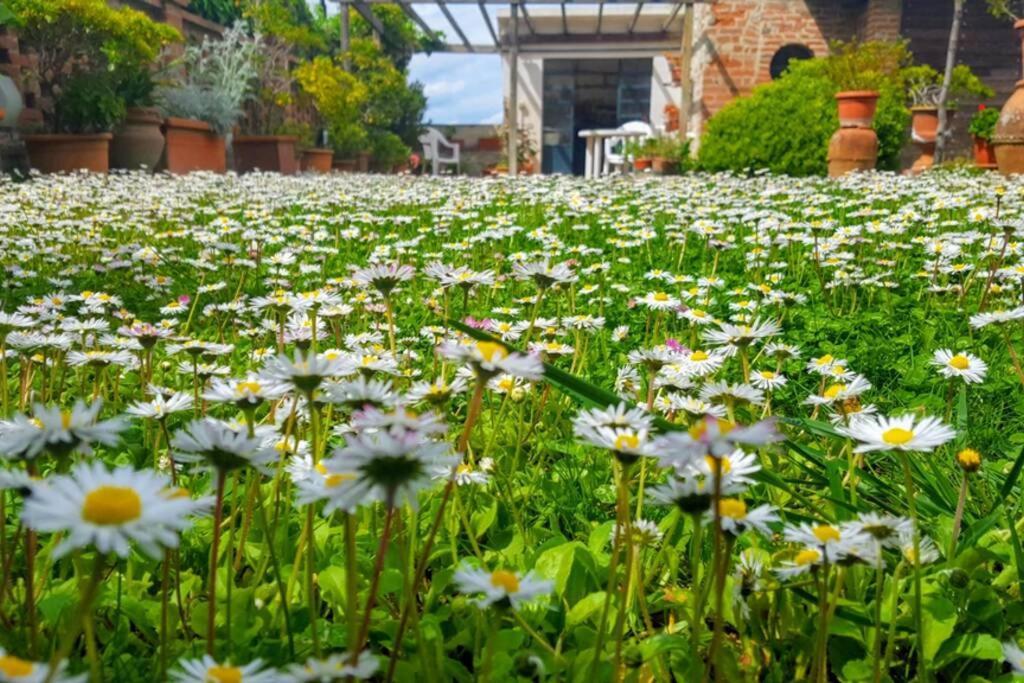 Bellavista La Tua Romantica Vacanza Sul Trasimeno Lägenhet Castiglione del Lago Exteriör bild