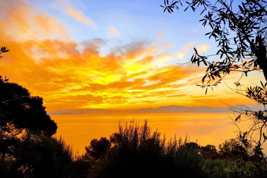 Bellavista La Tua Romantica Vacanza Sul Trasimeno Lägenhet Castiglione del Lago Exteriör bild