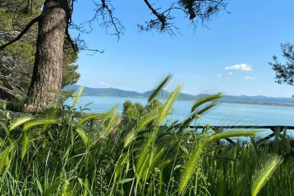 Bellavista La Tua Romantica Vacanza Sul Trasimeno Lägenhet Castiglione del Lago Exteriör bild