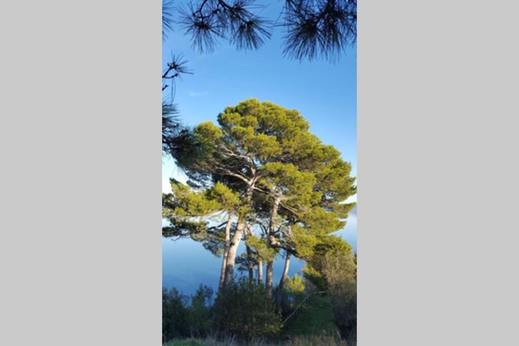 Bellavista La Tua Romantica Vacanza Sul Trasimeno Lägenhet Castiglione del Lago Exteriör bild