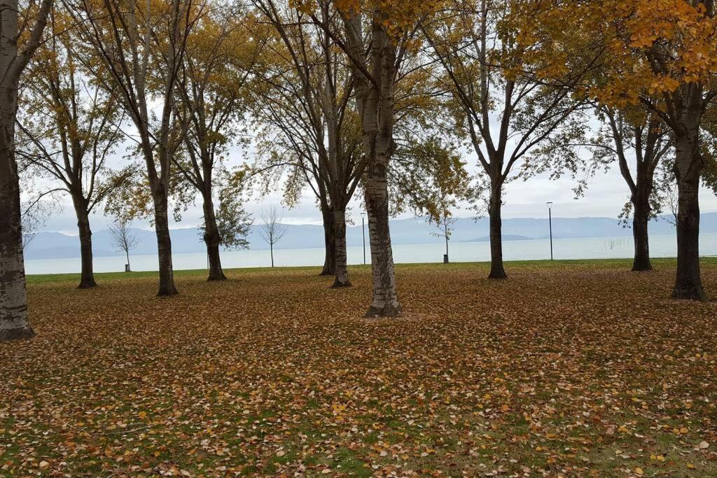 Bellavista La Tua Romantica Vacanza Sul Trasimeno Lägenhet Castiglione del Lago Exteriör bild