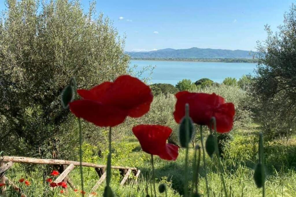 Bellavista La Tua Romantica Vacanza Sul Trasimeno Lägenhet Castiglione del Lago Exteriör bild