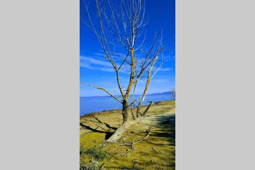 Bellavista La Tua Romantica Vacanza Sul Trasimeno Castiglione del Lago Exteriör bild