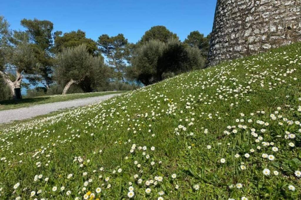 Bellavista La Tua Romantica Vacanza Sul Trasimeno Castiglione del Lago Exteriör bild