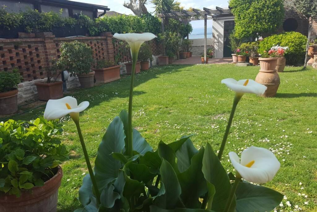 Bellavista La Tua Romantica Vacanza Sul Trasimeno Castiglione del Lago Exteriör bild