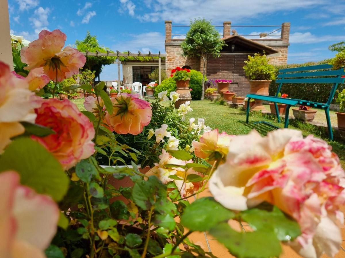 Bellavista La Tua Romantica Vacanza Sul Trasimeno Lägenhet Castiglione del Lago Exteriör bild