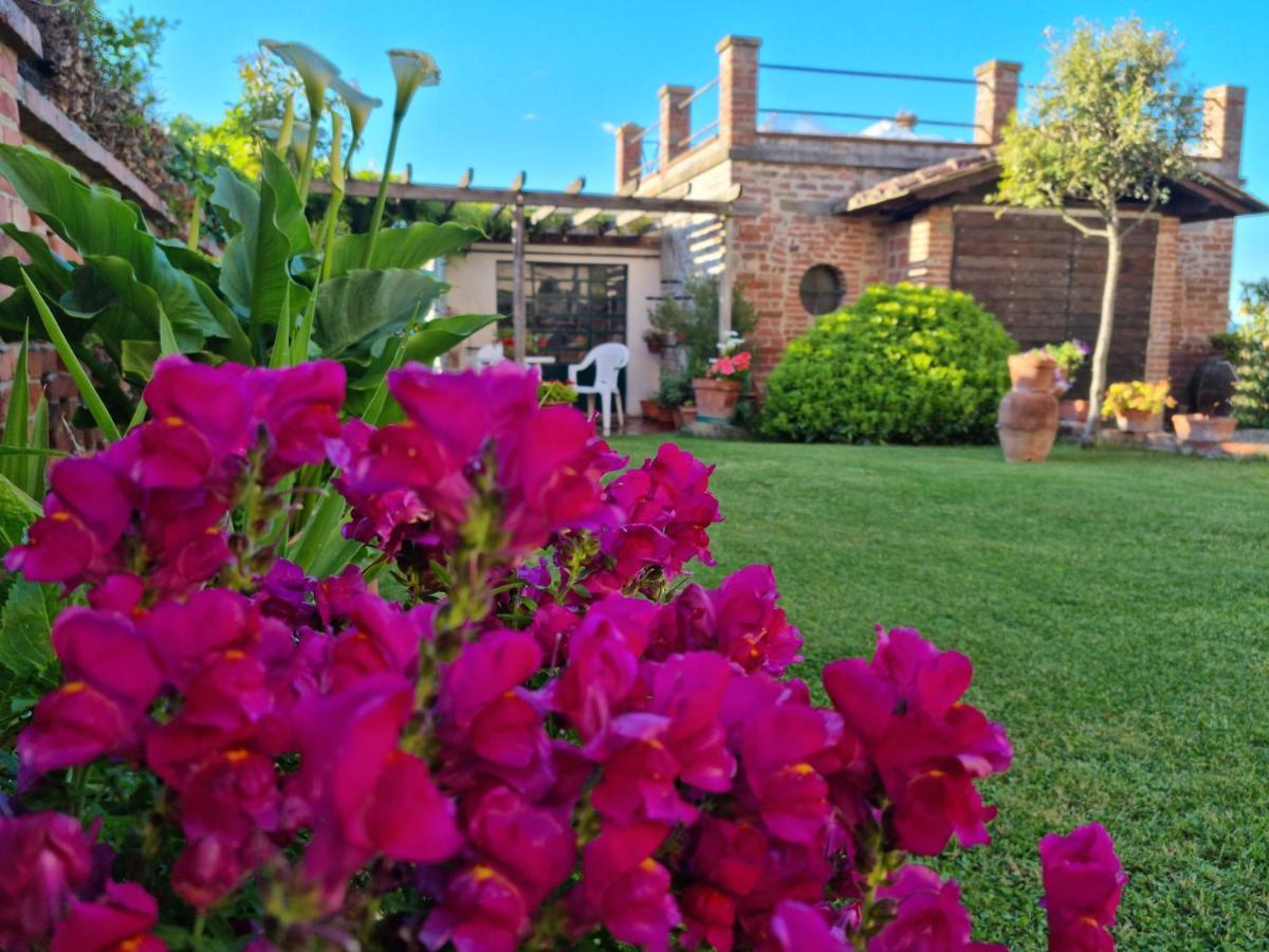 Bellavista La Tua Romantica Vacanza Sul Trasimeno Lägenhet Castiglione del Lago Exteriör bild